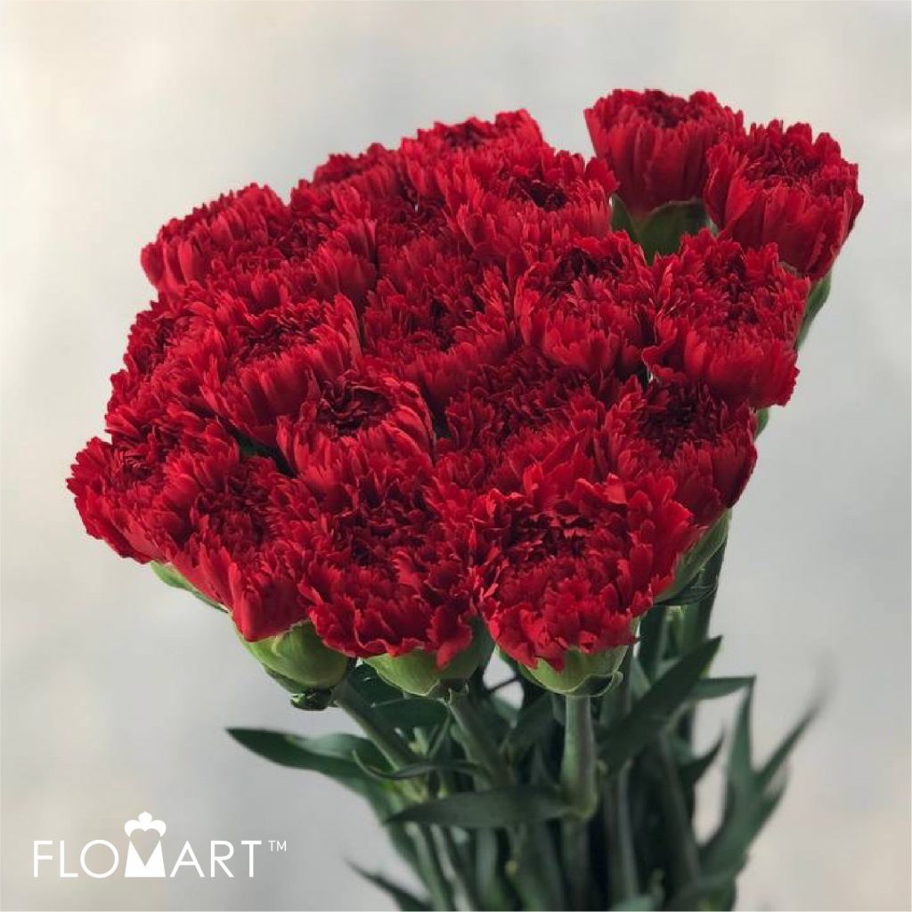 Flomart | Product Flomart