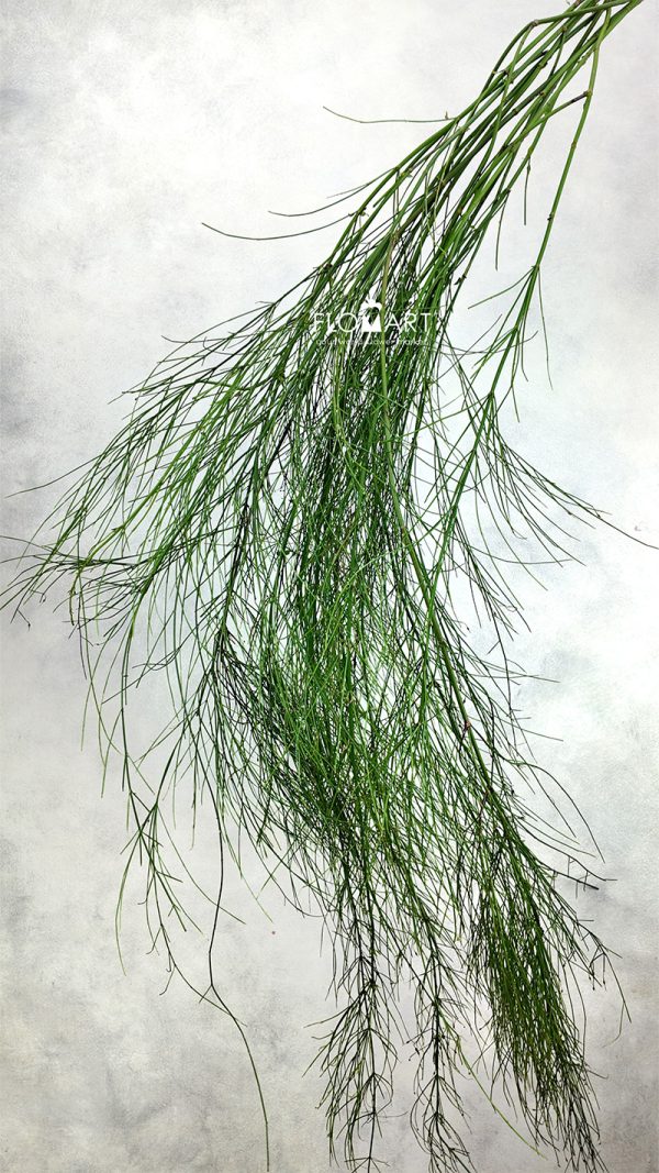 Air Mancur Air Mancur