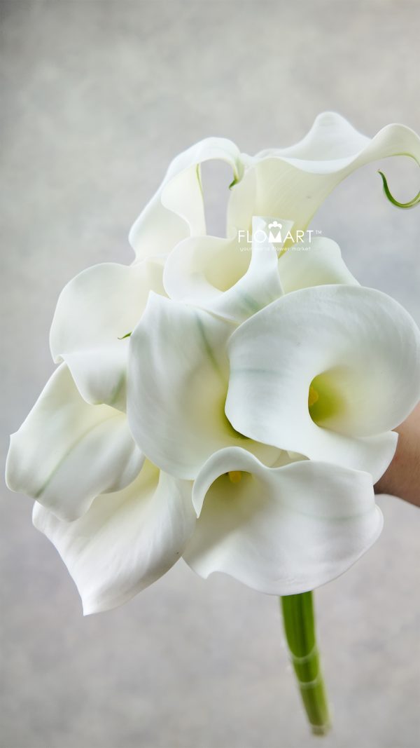 Calla Crystal Blush