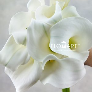 Calla Crystal Blush