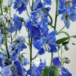 Delphinium do dev Navy Blue - Image 2