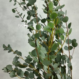 Eucalyptus Love