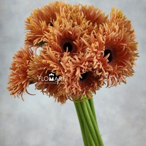 Gerbera Lace Orange