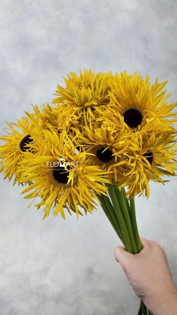 Gerbera Lace Yellow