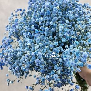 Gypsophilla MS Blue