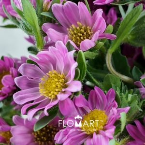 Hana Pink - Image 2