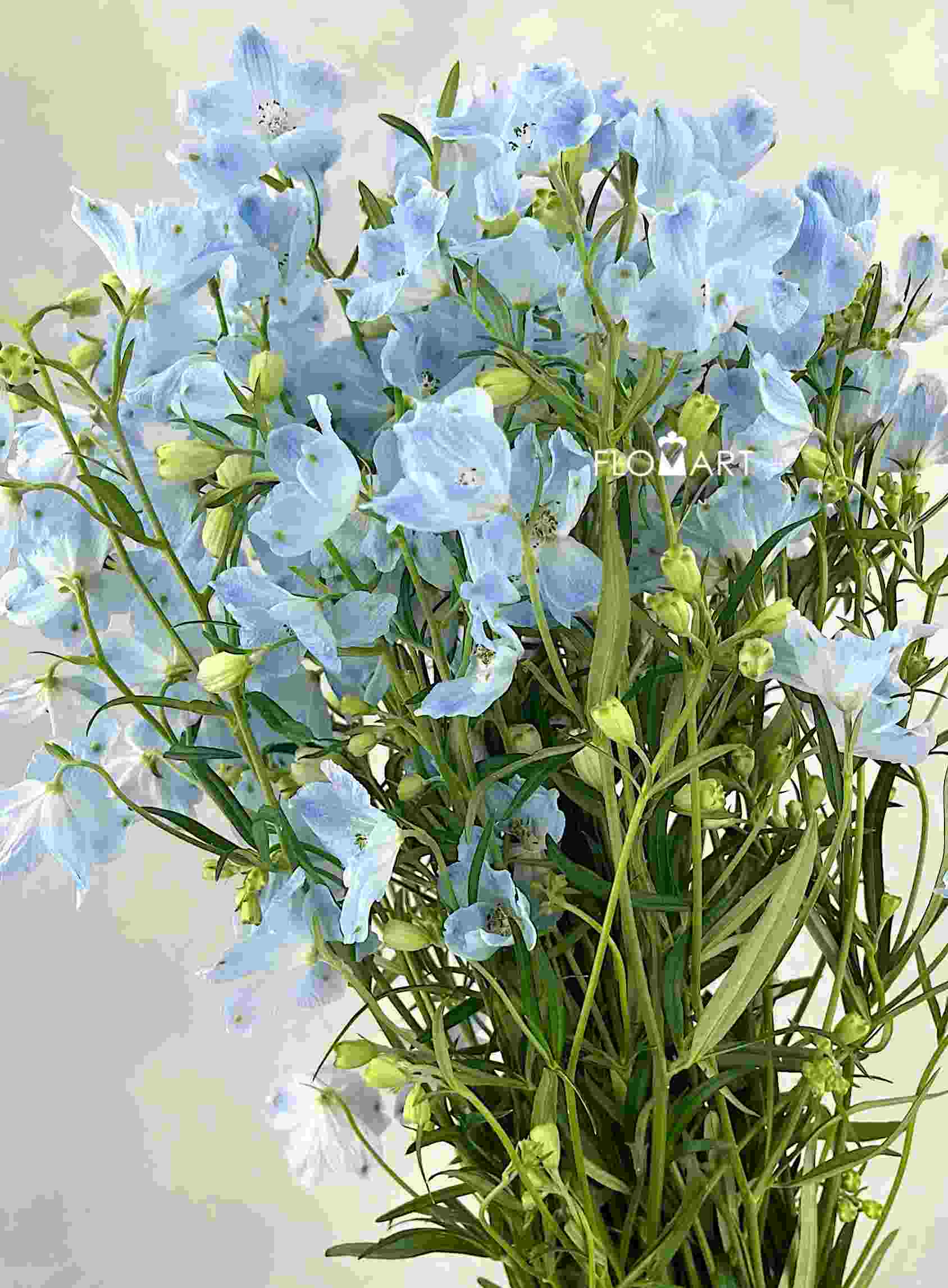 Delphinium Super Chiffon Blue - Image 1