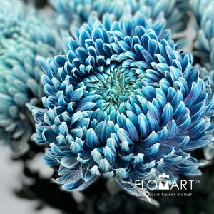 Chriysanthemum dy Zhenyang Smoke Denim - Image 2