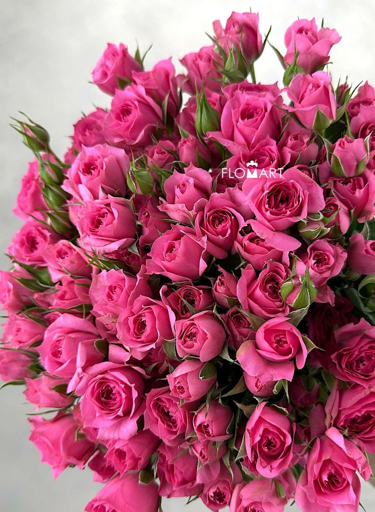Rosa Spray Sophie