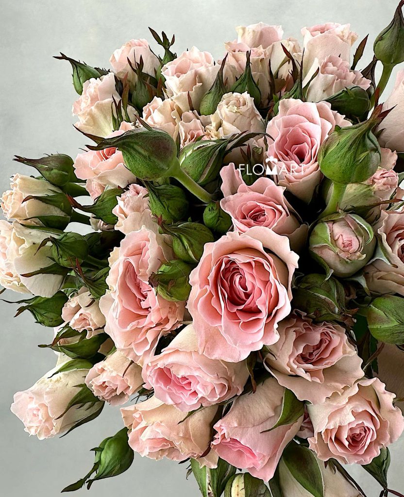 Rosa Spray Mermaid Princess