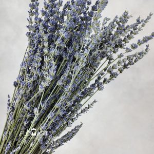 Lavender Blue