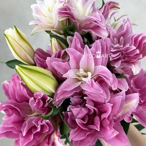 Lilium Red Ribbon 4+ - Image 1