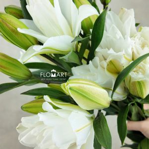 Lilium Lotus Beauty 4+