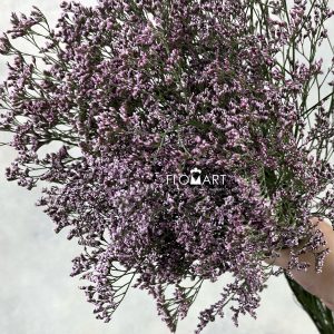 Limonium Oishii Pink