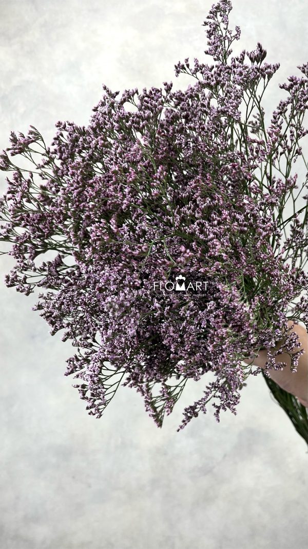 Limonium Oishii Pink