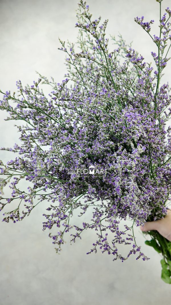 Limonium Purple Caspea