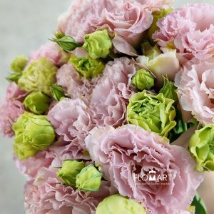 Lisianthus Apricot