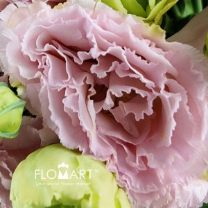 Lisianthus Apricot - Image 2