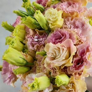 Lisianthus Champagne