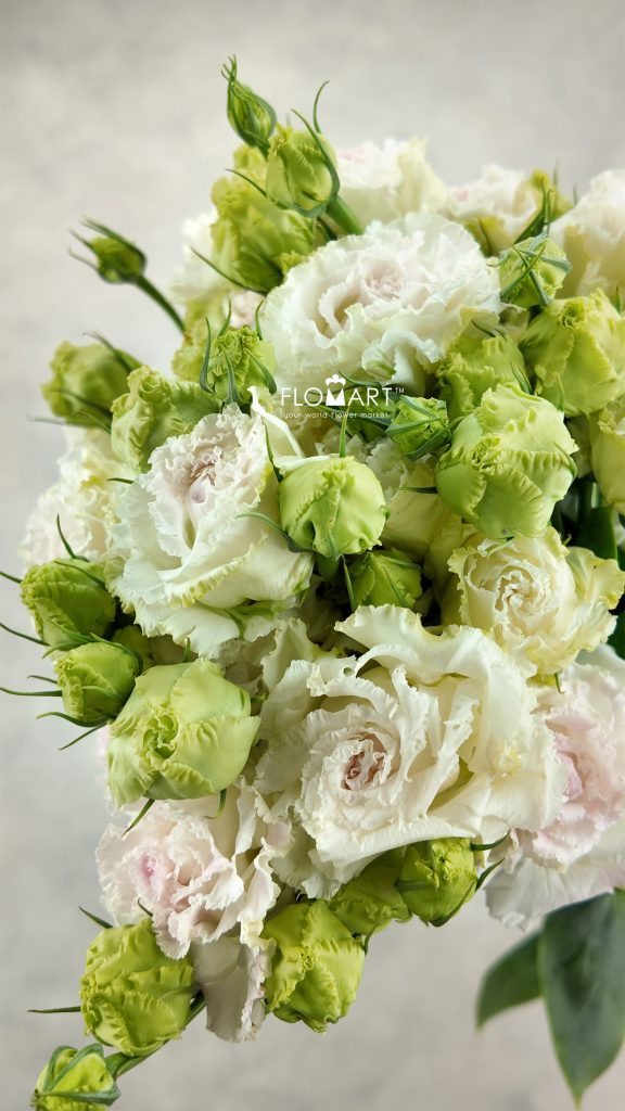 Lisianthus Ice Cream