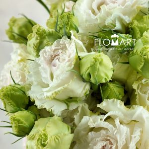 Lisianthus Ice Cream - Image 2