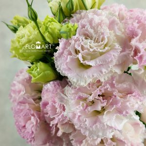 Lisianthus Pink Sunshine