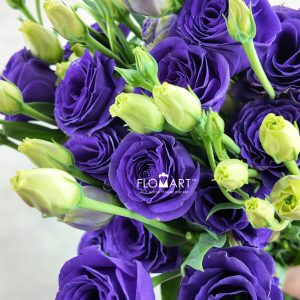 Lisianthus Purple