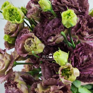 Lisianthus Tea Color