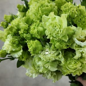 Lisianthus Wave Green
