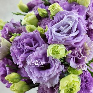 Lisianthus Wave Light Purple