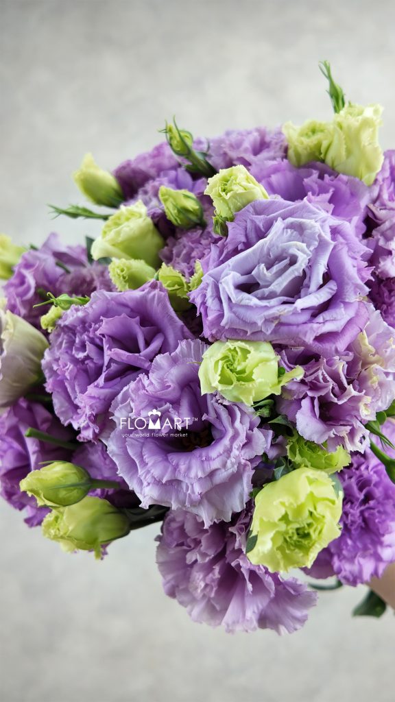 Lisianthus Wave Light Purple