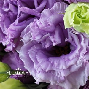 Lisianthus Wave Light Purple - Image 2
