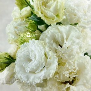Lisianthus Wave White