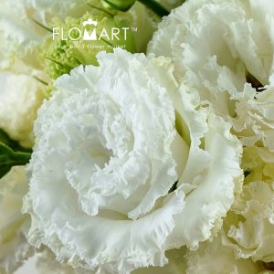 Lisianthus Wave White - Image 2