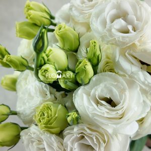 Lisianthus White