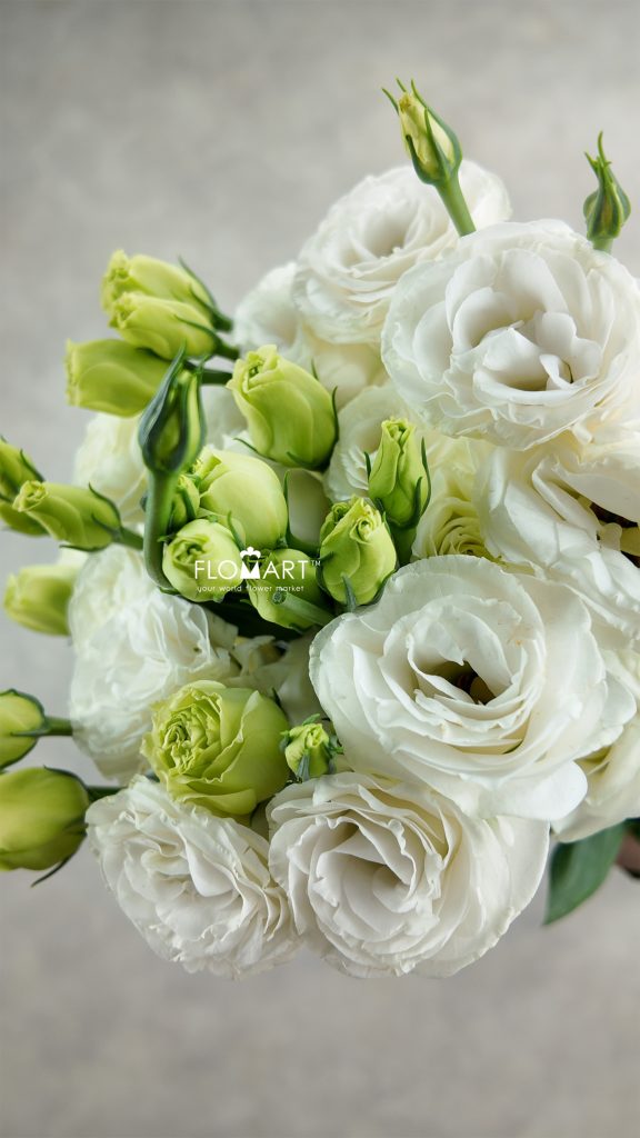 Lisianthus White