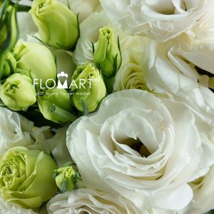 Lisianthus White - Image 2