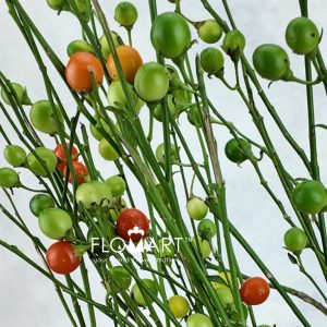 Lucky Fruit - Image 2