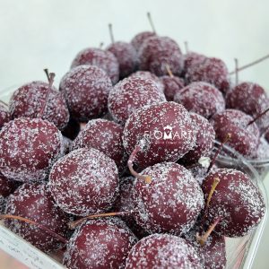 Malus Apple Wax Dark Purple
