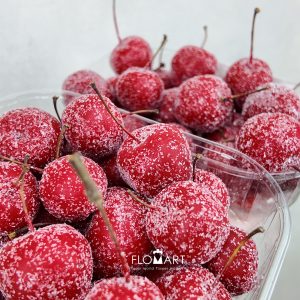 Malus Apple Wax Gliter Red