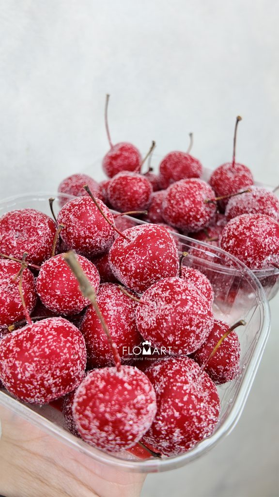 Malus Apple Wax Gliter Red