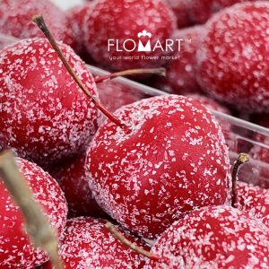 Malus Apple Wax Gliter Red - Image 2