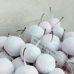 Malus Apple Wax Gliter White