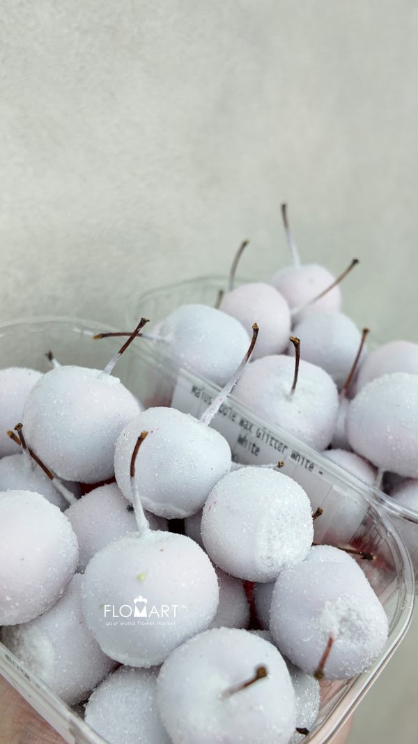 Malus Apple Wax Gliter White