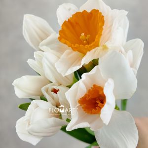 Narcis Johan Strauss