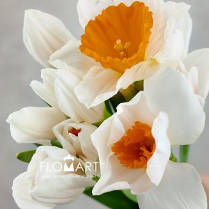 Narcis Johan Strauss - Image 2