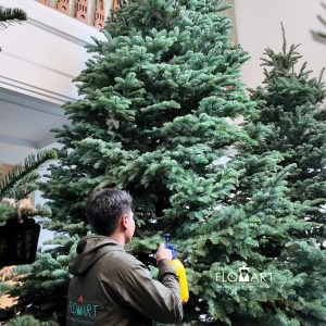 Nobilis Fie Tree 450cm