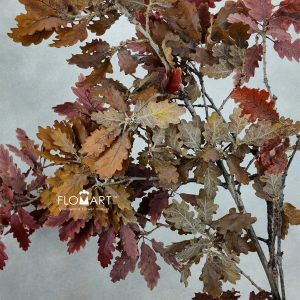 Oak Leaf Preserved Autumn