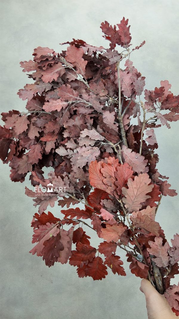 Oak Leaf Preserved Red