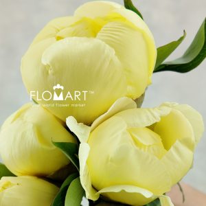 Paeonia Bartzella - Image 2